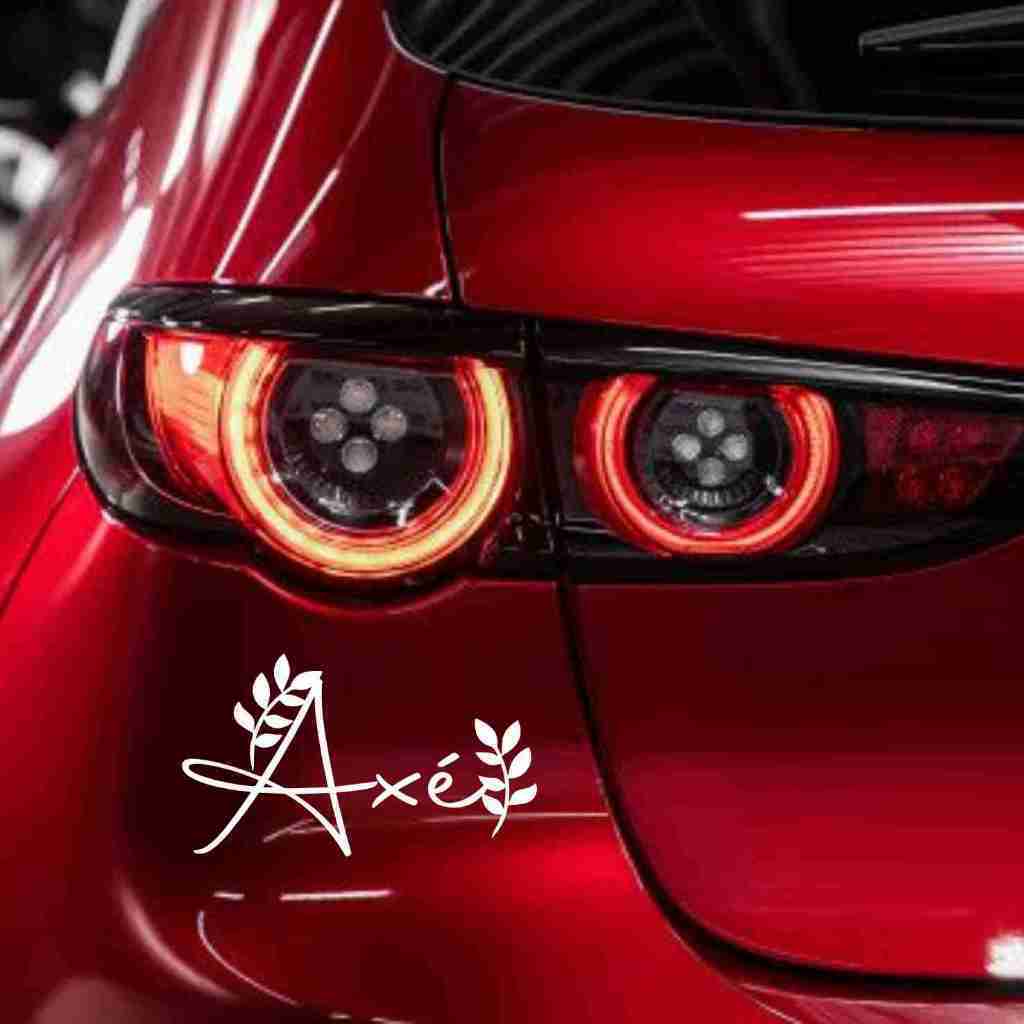 Miniatura 4 de Adesivo Recortado - AXÉ 16x10cm