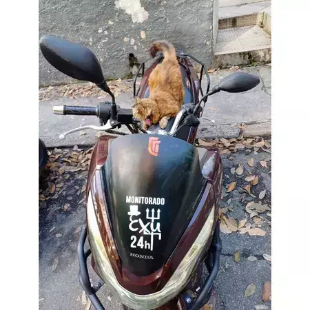 Miniatura 6 de Adesivo Recortado - Monitorado por Exu